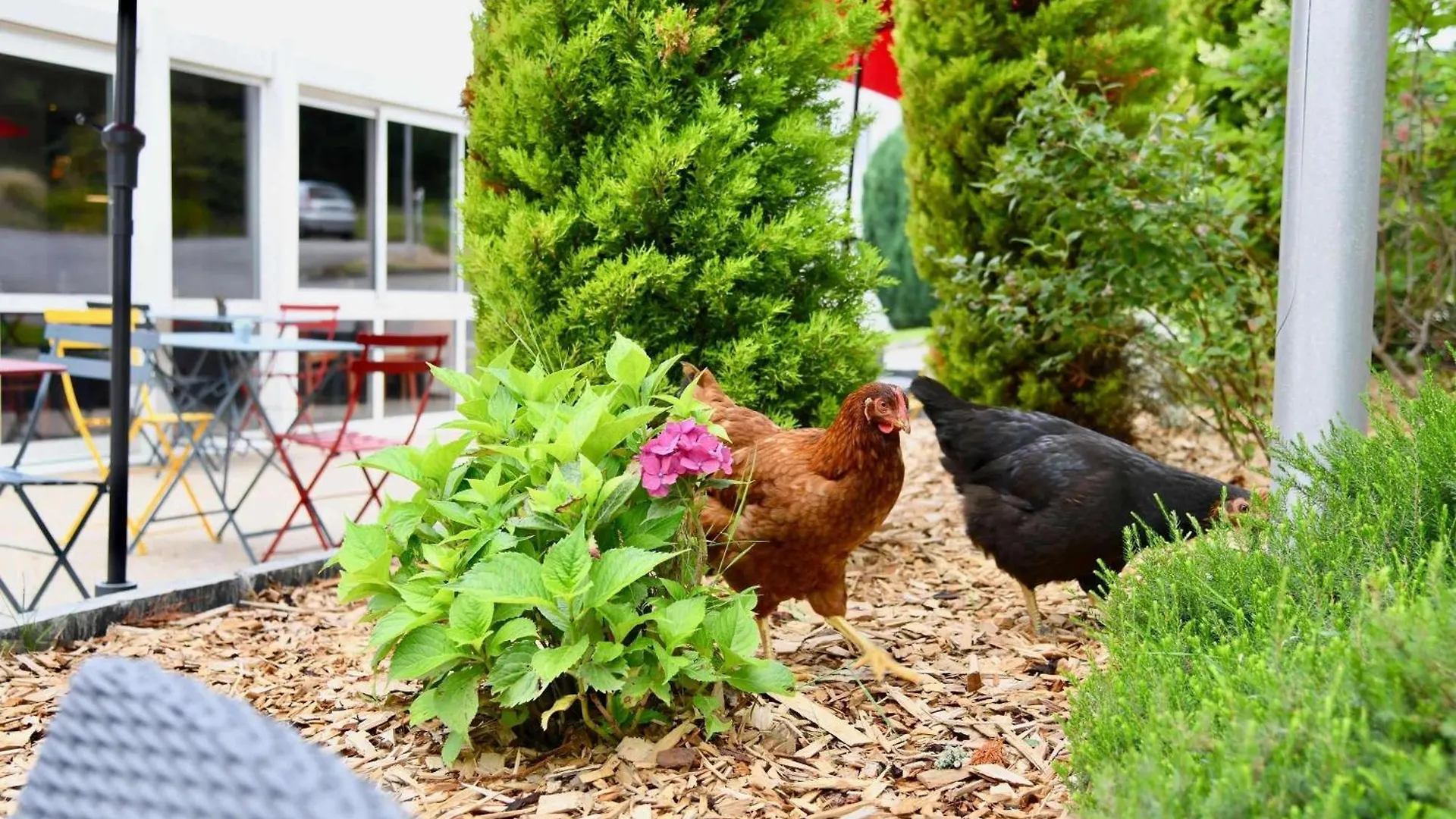 Ibis Quimper Hotel 3*,  France
